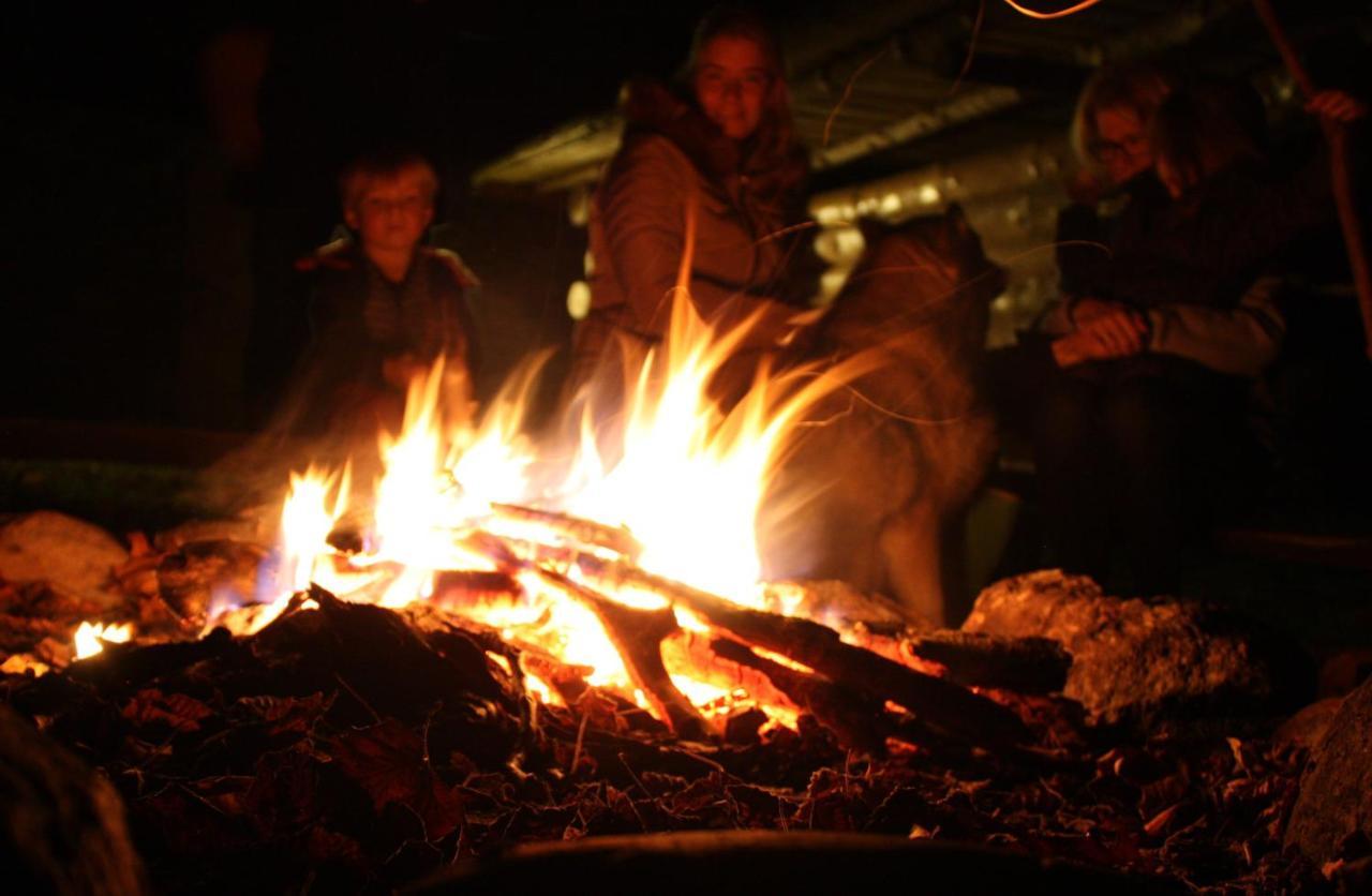 Pyrenees Emotions, Eco-Responsables, Nature, Sports Aventures Malvézie 외부 사진