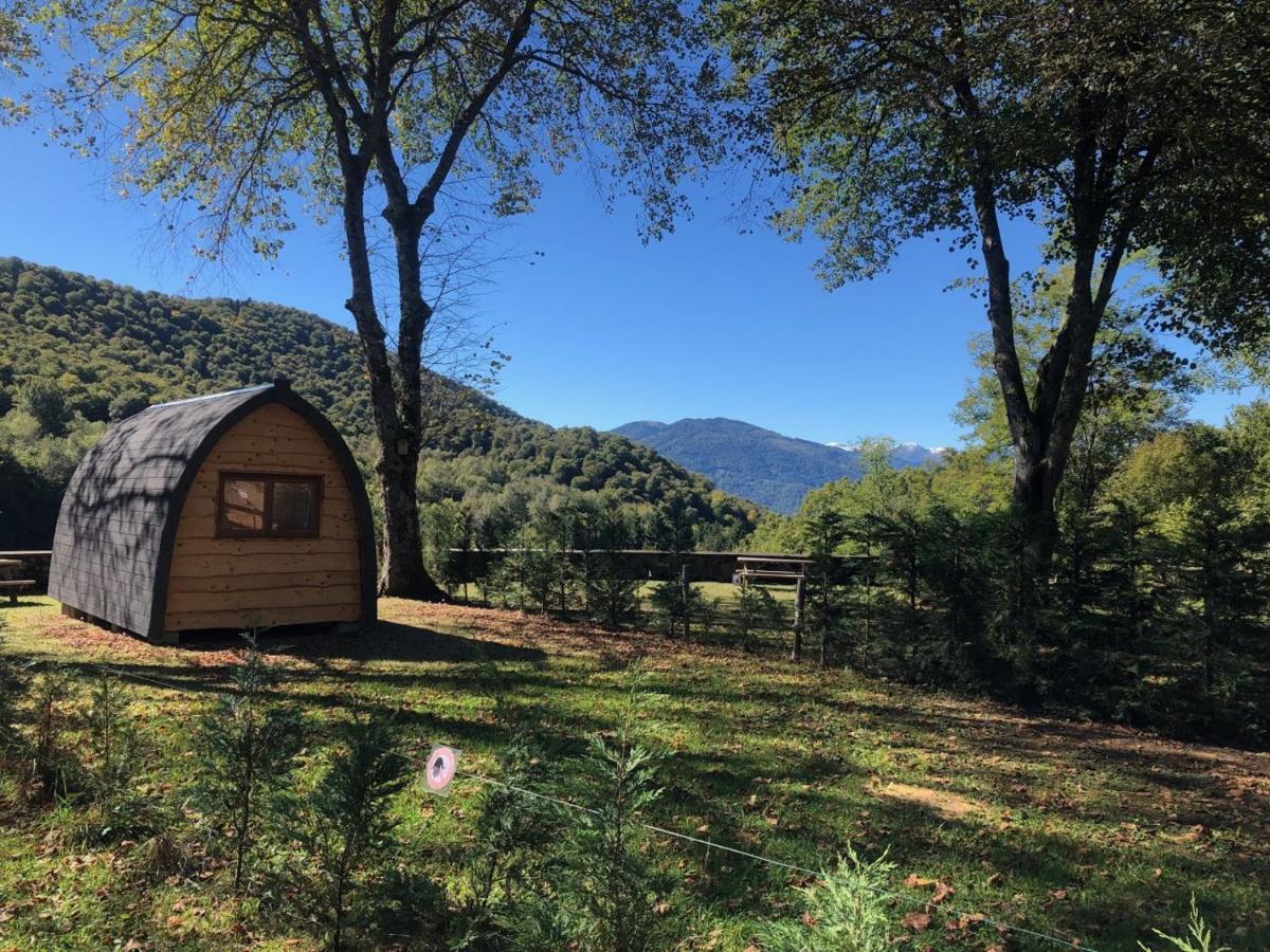 Pyrenees Emotions, Eco-Responsables, Nature, Sports Aventures Malvézie 외부 사진